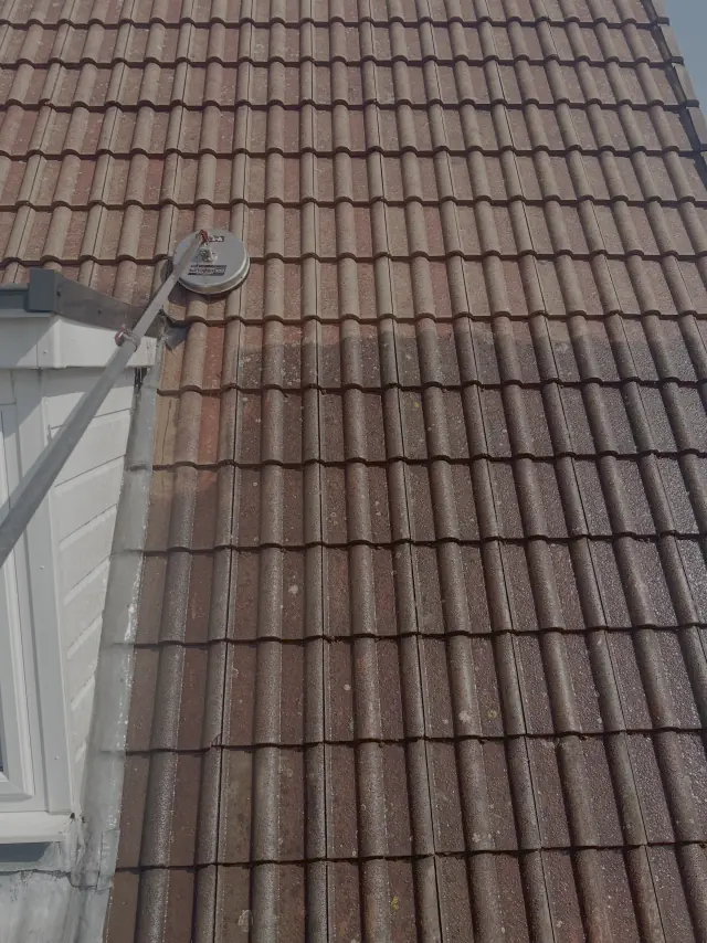 Finished pressure-washing project showing a cleaner outdoor surface