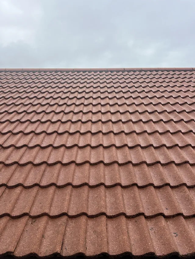 Clean red roof tiles after treatment