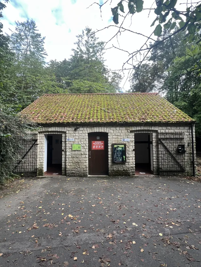 Moss-covered tiled roof on a stone outbuilding before cleaning