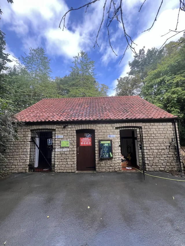 The stone outbuilding roof after moss removal and cleaning